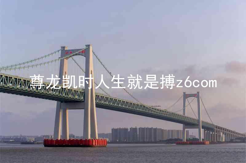 尊龙凯时人生就是搏z6com