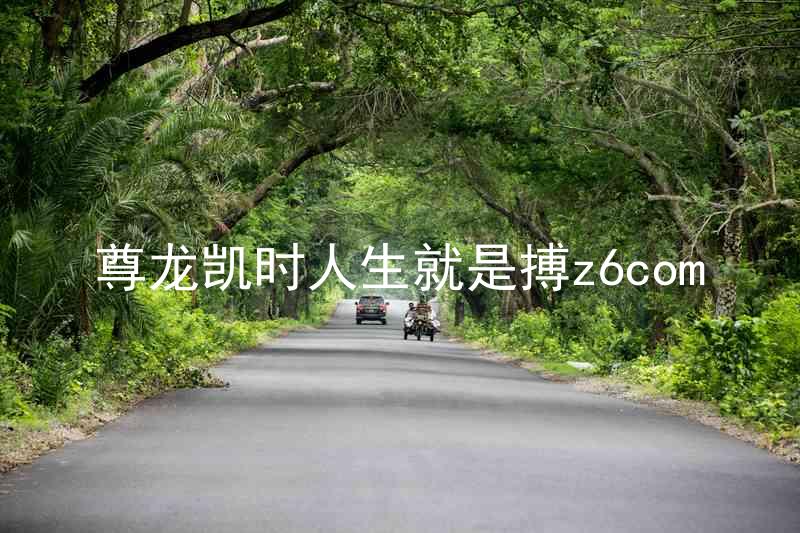 尊龙凯时人生就是搏z6com