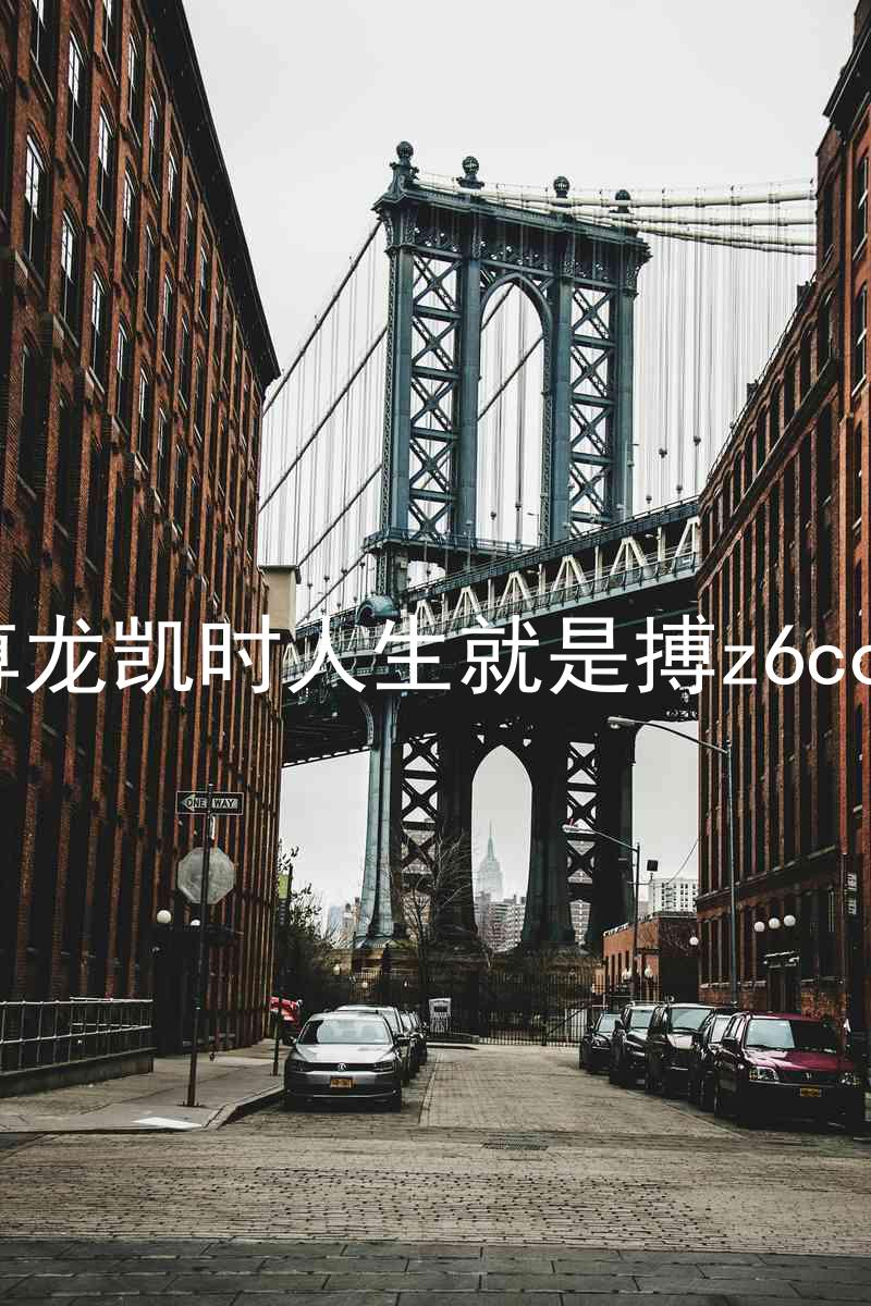 尊龙凯时人生就是搏z6com