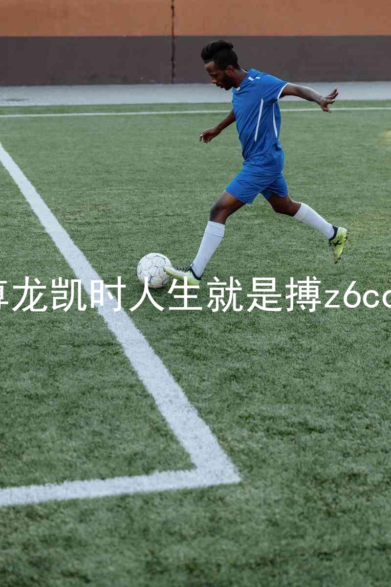 尊龙凯时人生就是搏z6com