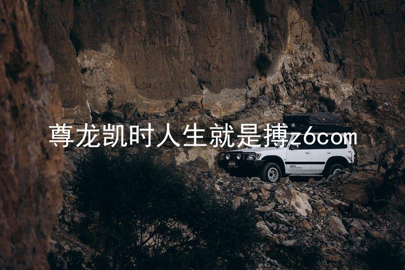 尊龙凯时人生就是搏z6com