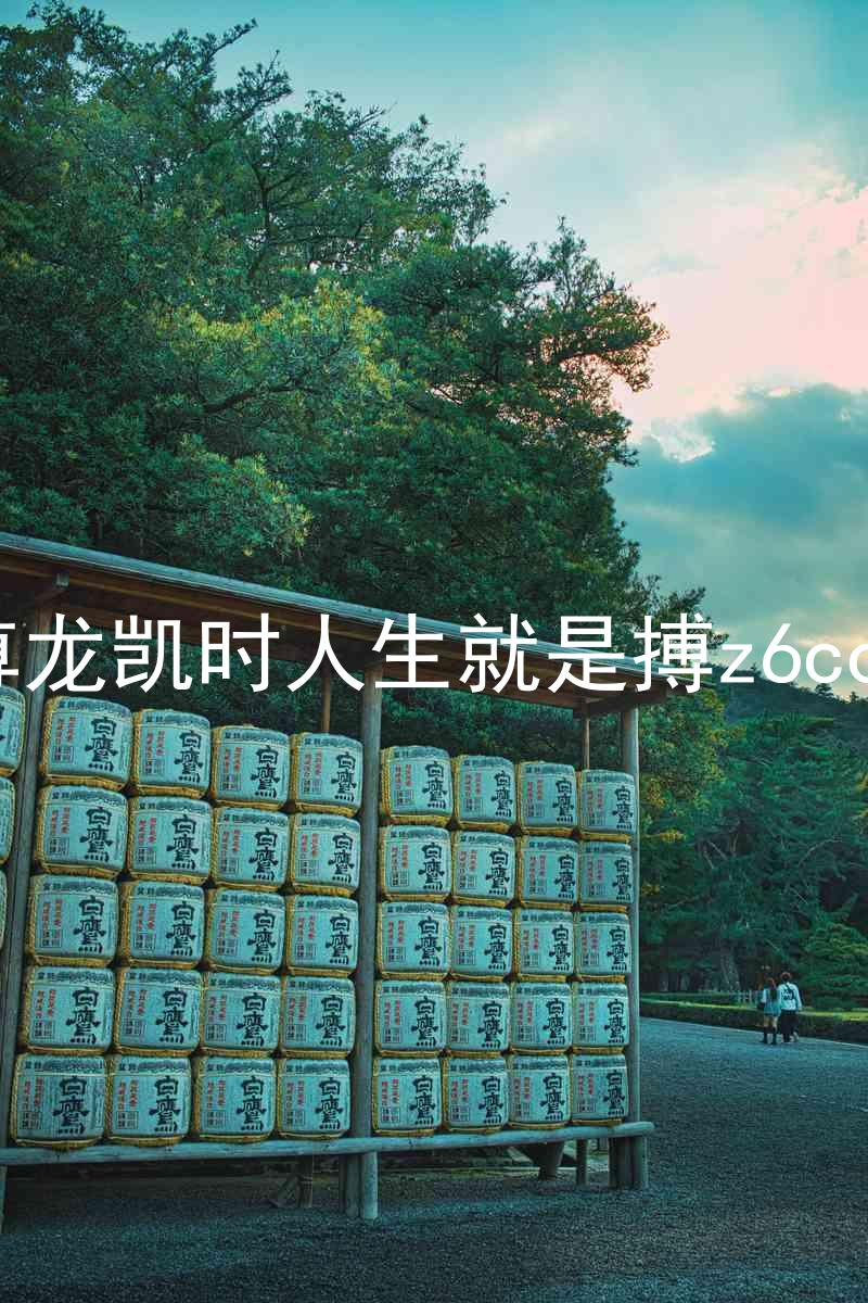 尊龙凯时人生就是搏z6com