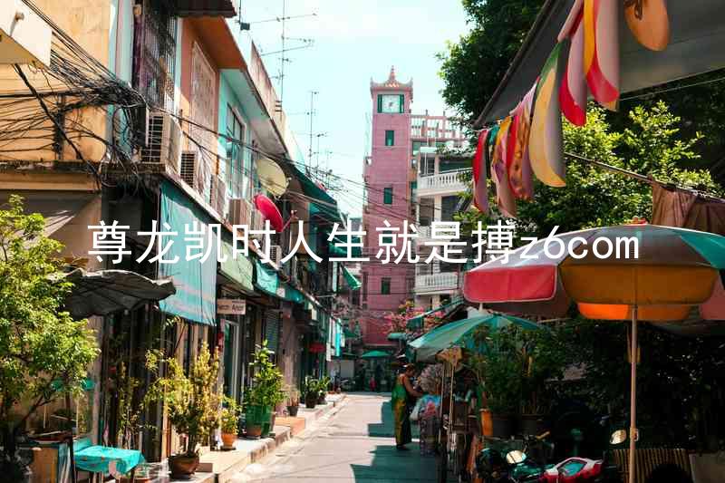 尊龙凯时人生就是搏z6com
