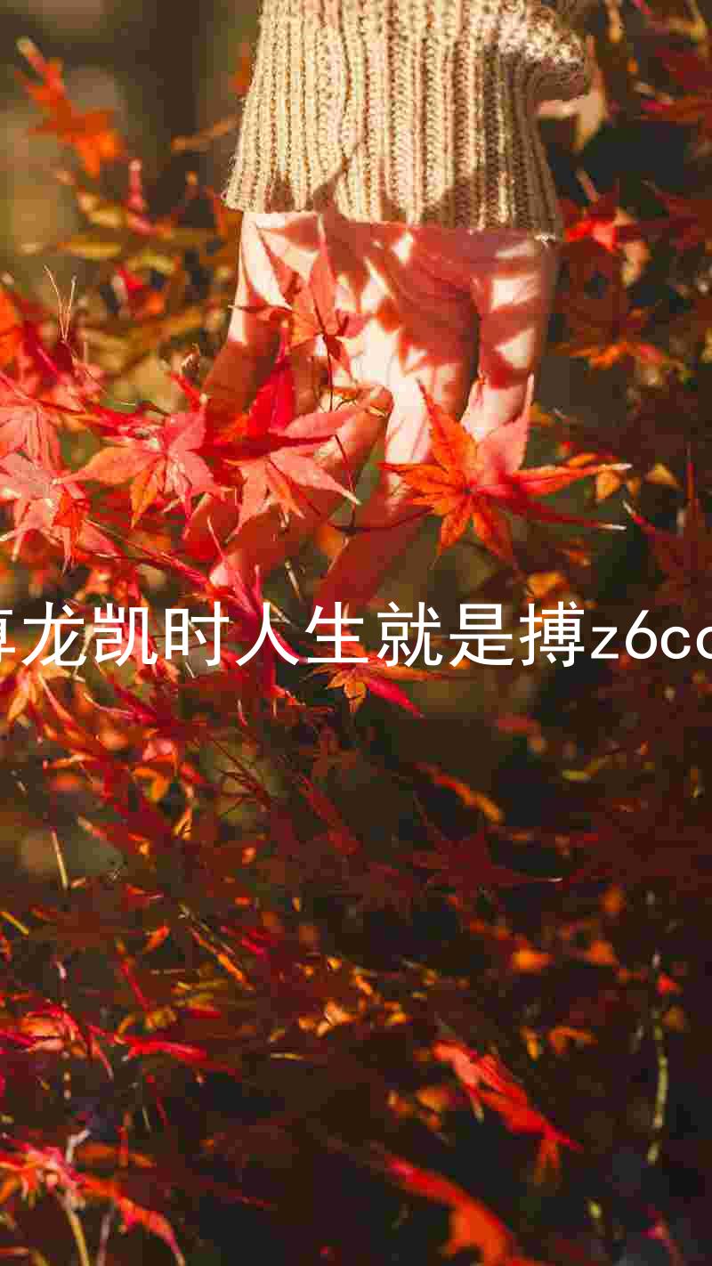 尊龙凯时人生就是搏z6com